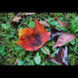 Meet your Posher, Candice